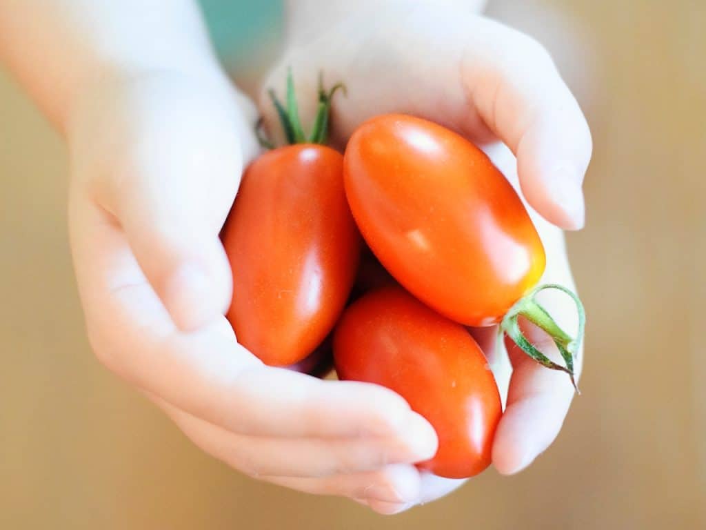 Los tomates son alimentos antiinflamatorios.