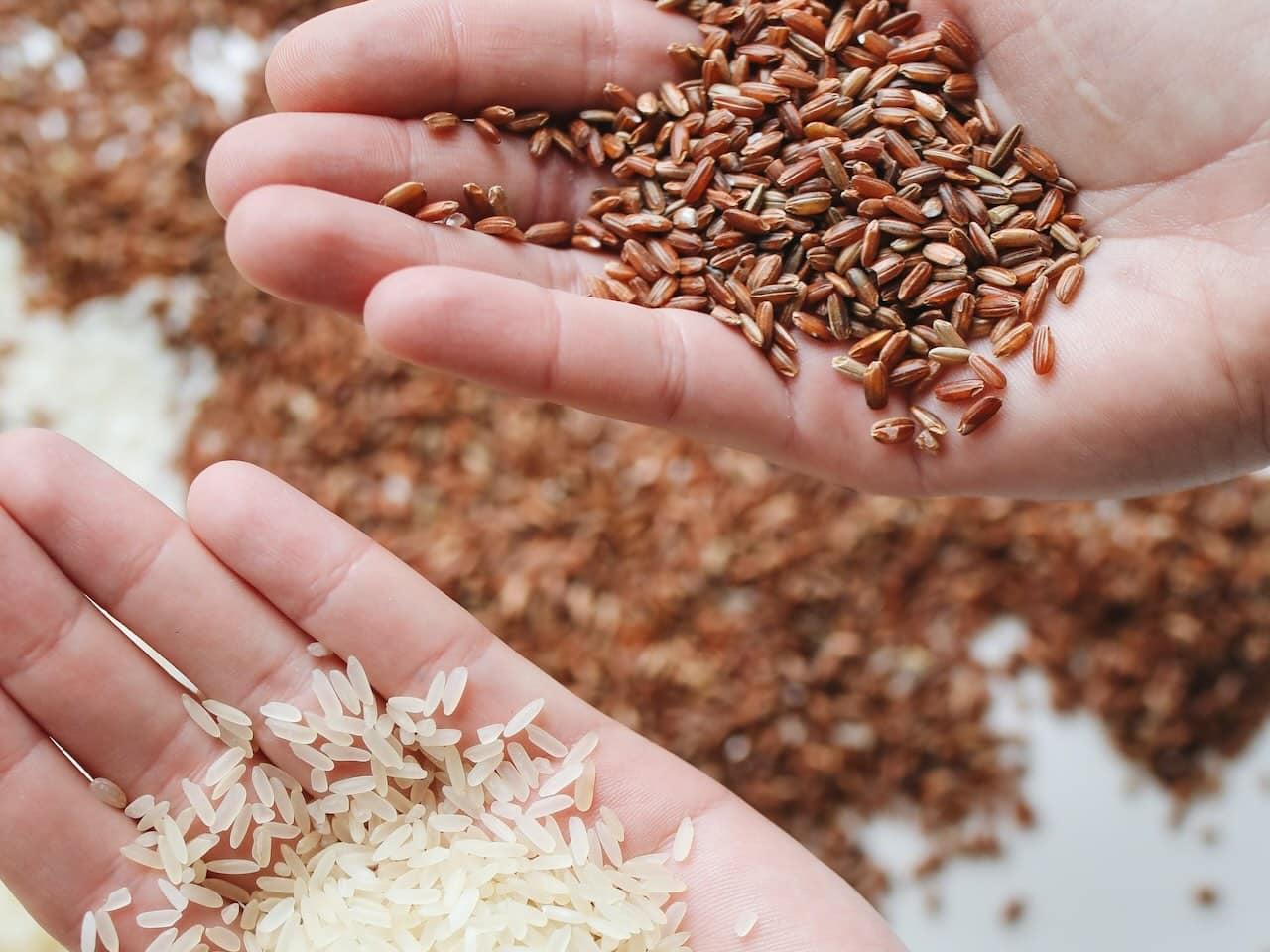 Comparativa nutricional: arroz blanco y arroz integral