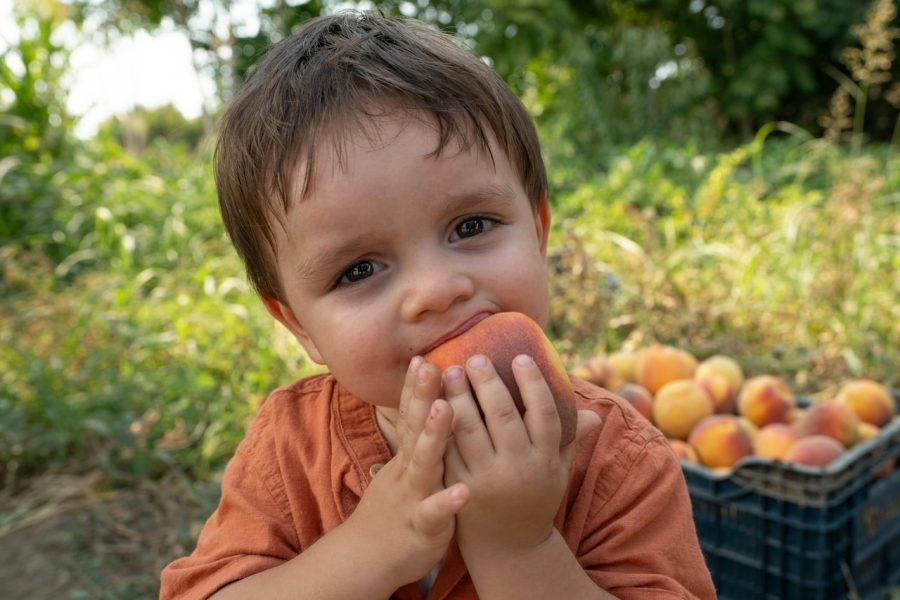 La pirámide de los alimentos para niños: así se aprende a comer bien