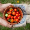 Productos bio: qué son y cómo distinguirlos