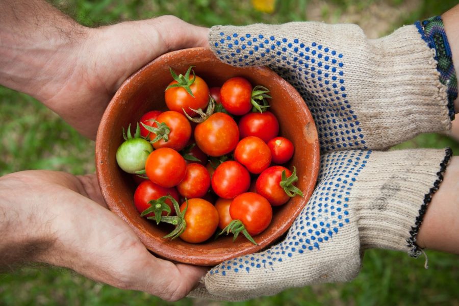 Productos bio: qué son y cómo distinguirlos