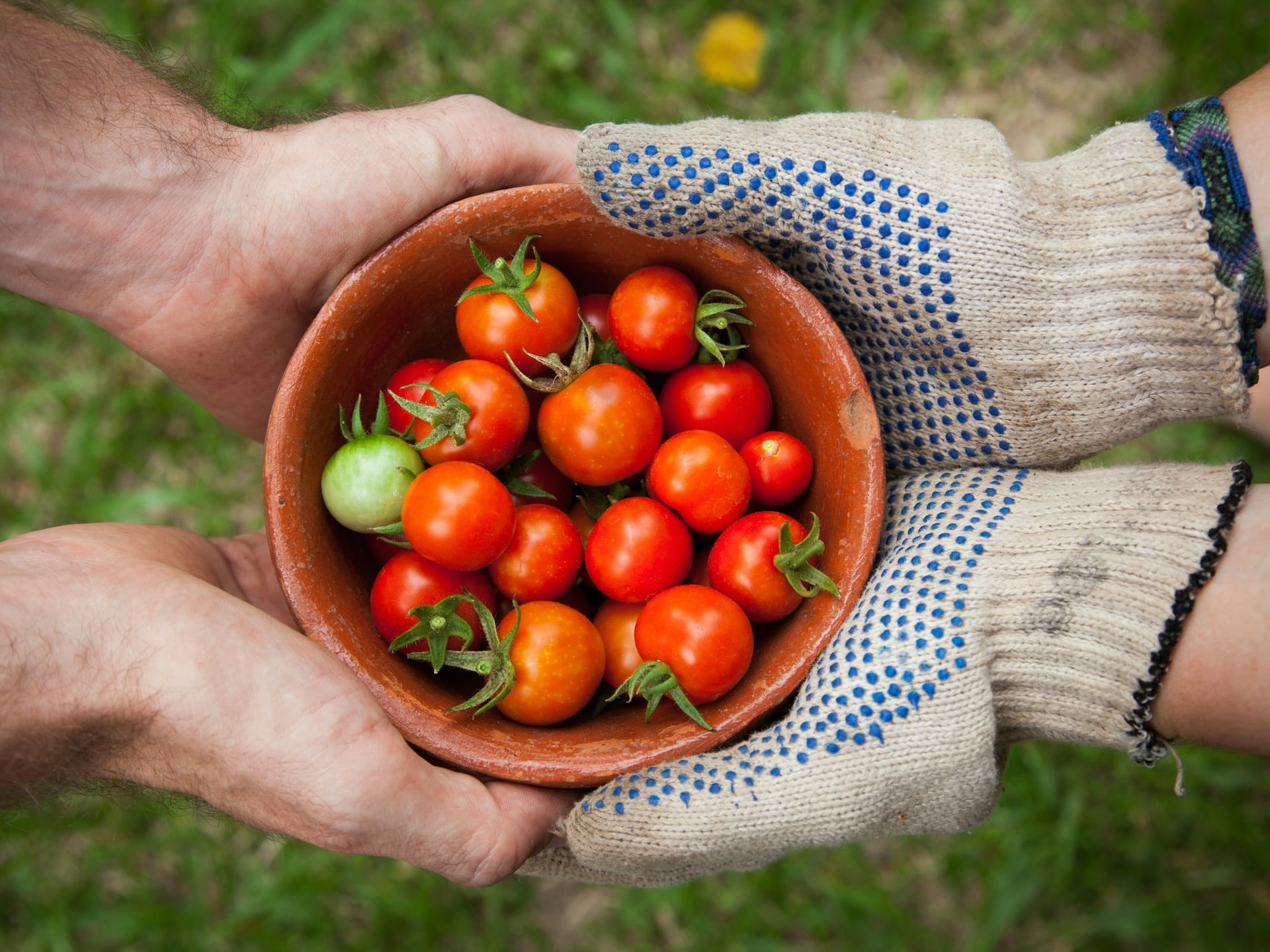 Productos bio: qué son y cómo distinguirlos