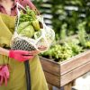 Escaldar las verduras: qué es y cómo afecta a los nutrientes