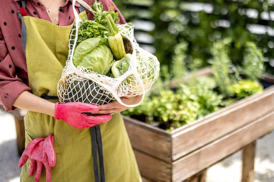 Escaldar las verduras: qué es y cómo afecta a los nutrientes