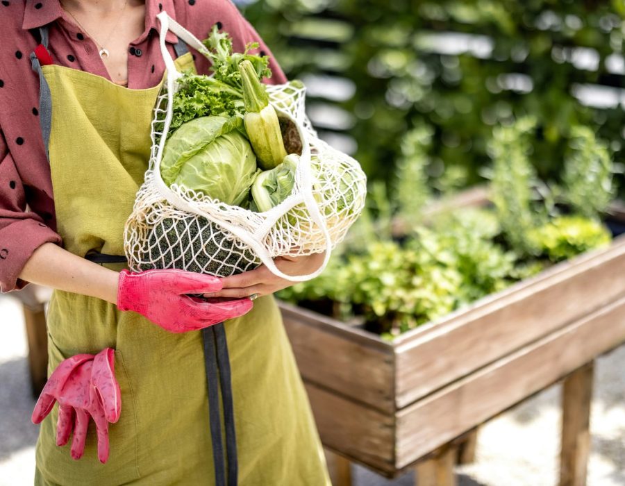 Escaldar las verduras: qué es y cómo afecta a los nutrientes