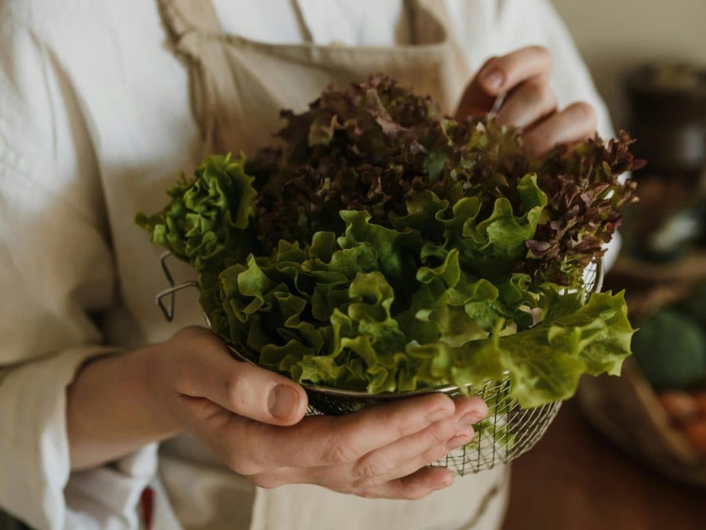 Mujer muestra una lechuga