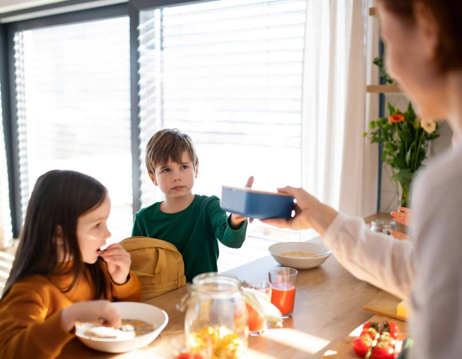 Almuerzos saludables para que los niños lleven al colegio