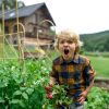 ¡Mi hijo no quiere comer verduras! ¿Qué hago?