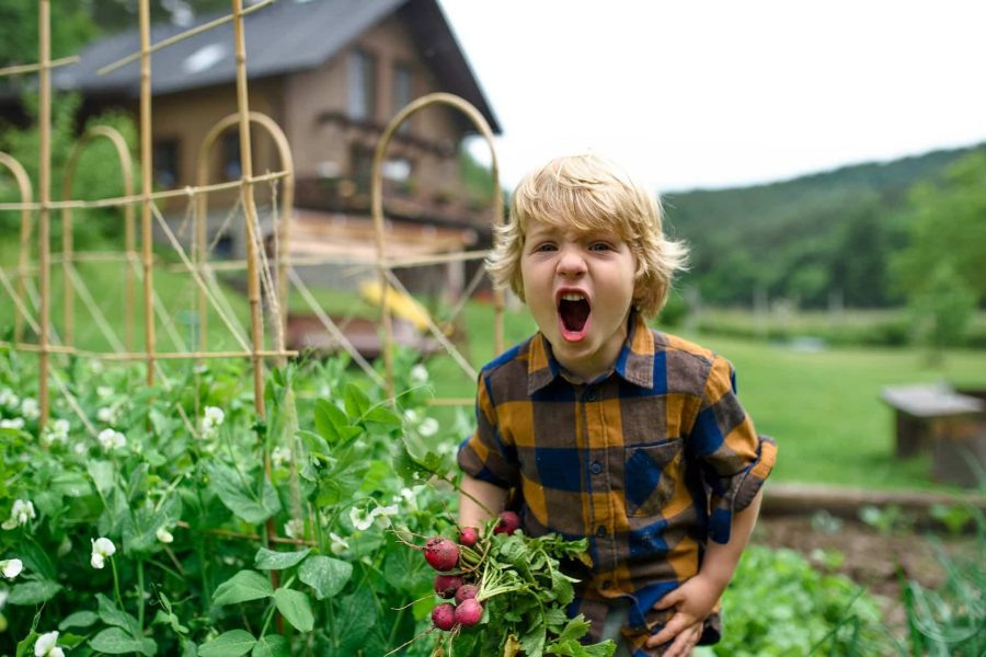 ¡Mi hijo no quiere comer verduras! ¿Qué hago?