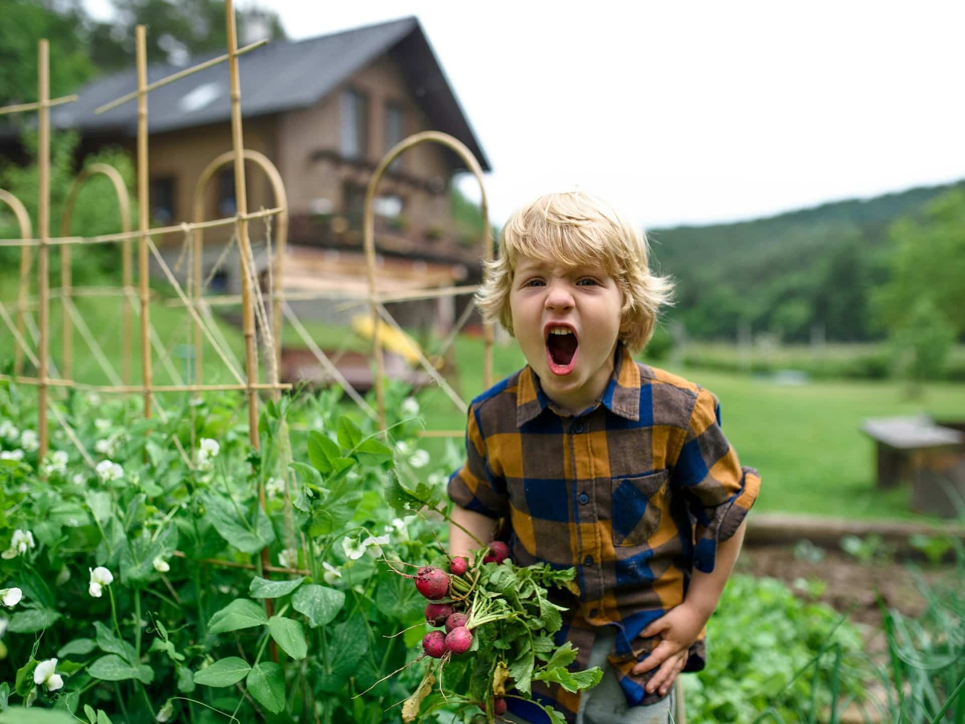 ¡Mi hijo no quiere comer verduras! ¿Qué hago?